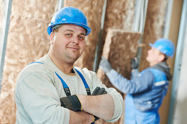 Best Geographic-Specific Insulation Services in St Ann, MO