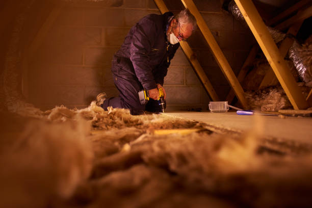 Best DIY Insulation Kits and Guidance in St Ann, MO